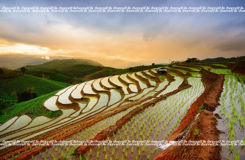 කෘෂි ව්‍යාපෘති දාහයි මිලියන දාහයි.