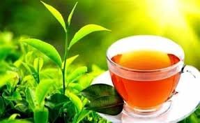 තේ කර්මාන්ත ශාලා හිමියන්ගේ මහ සභා රැස්වීම